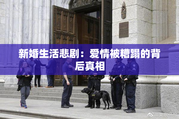 新婚生活悲剧：爱情被糟蹋的背后真相