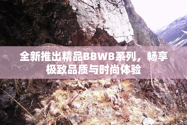 全新推出精品BBWB系列，畅享极致品质与时尚体验