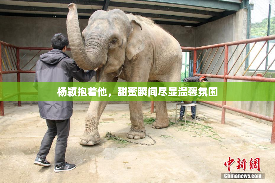 杨颖抱着他，甜蜜瞬间尽显温馨氛围