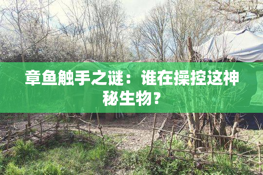 章鱼触手之谜：谁在操控这神秘生物？