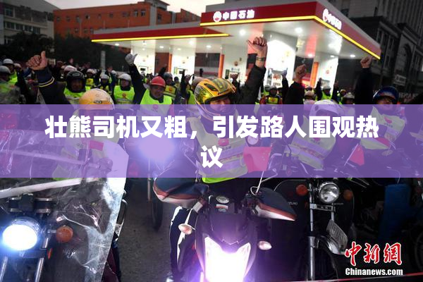 壮熊司机又粗，引发路人围观热议