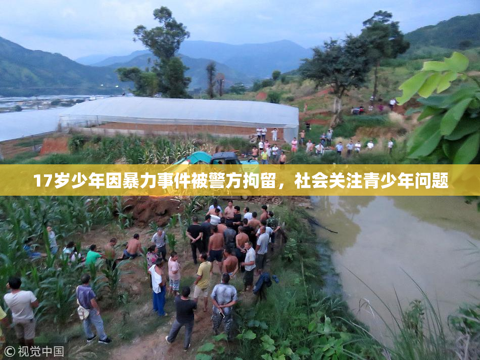 17岁少年因暴力事件被警方拘留，社会关注青少年问题