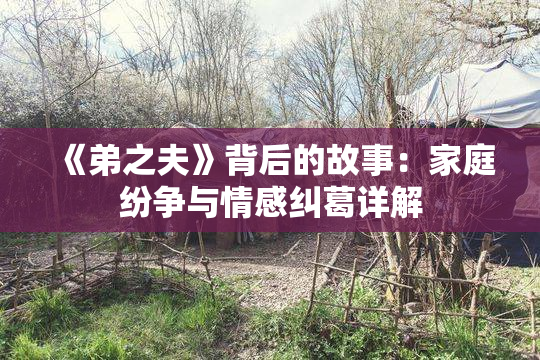 《弟之夫》背后的故事：家庭纷争与情感纠葛详解