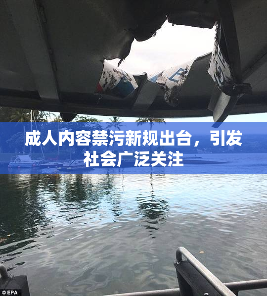 成人内容禁污新规出台，引发社会广泛关注