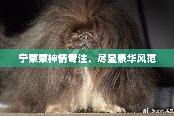 宁荣荣神情专注，尽显豪华风范