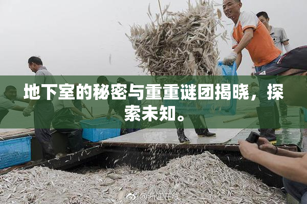 地下室的秘密与重重谜团揭晓，探索未知。