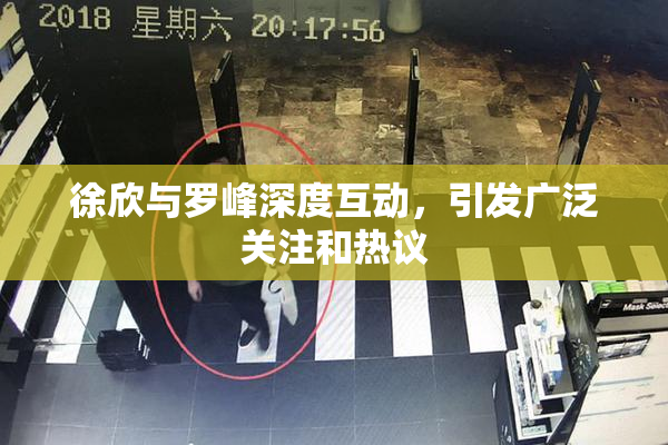 徐欣与罗峰深度互动，引发广泛关注和热议