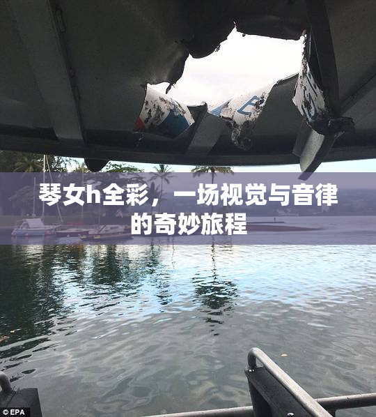 琴女h全彩，一场视觉与音律的奇妙旅程