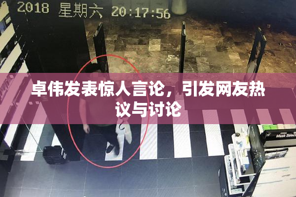 卓伟发表惊人言论，引发网友热议与讨论