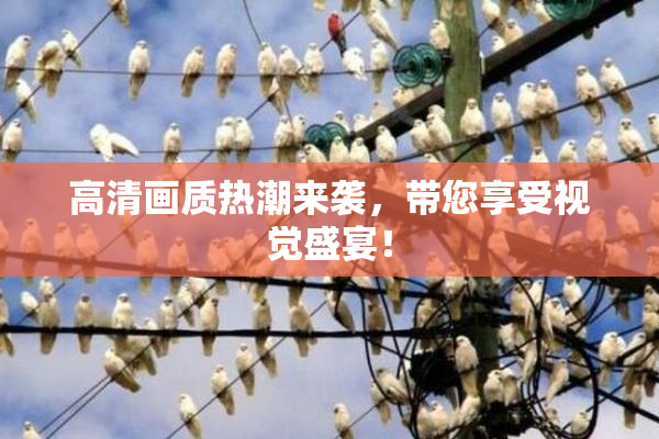 高清画质热潮来袭，带您享受视觉盛宴！