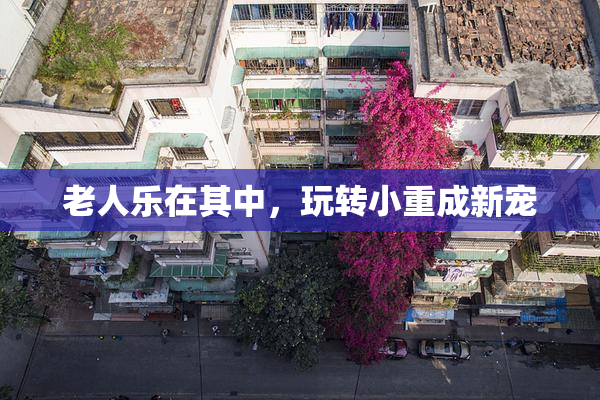 老人乐在其中，玩转小重成新宠