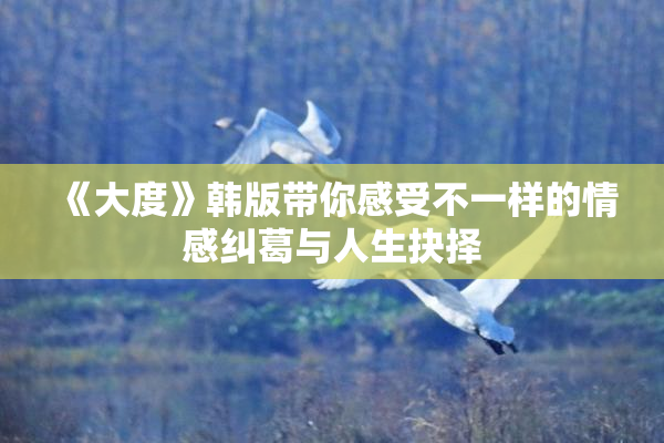 《大度》韩版带你感受不一样的情感纠葛与人生抉择