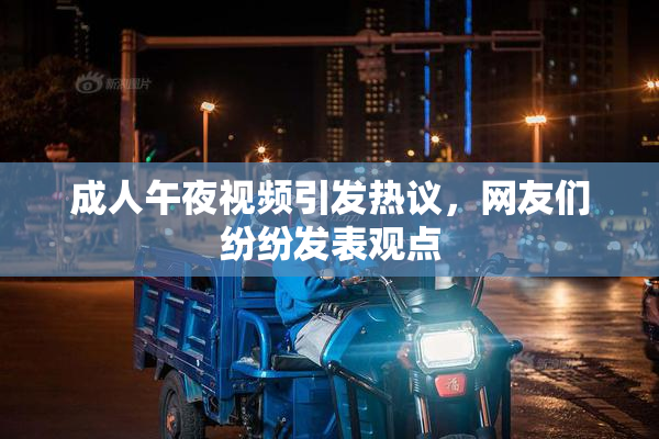 成人午夜视频引发热议，网友们纷纷发表观点