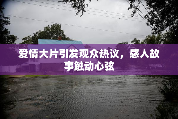 爱情大片引发观众热议，感人故事触动心弦