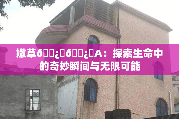 嫩草🌿‌🌿‌A：探索生命中的奇妙瞬间与无限可能