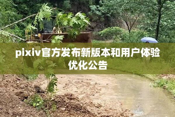 pixiv官方发布新版本和用户体验优化公告