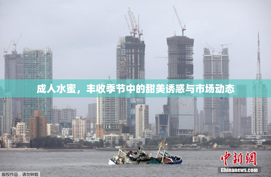 成人水蜜，丰收季节中的甜美诱惑与市场动态