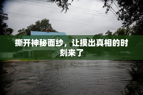 撕开神秘面纱，让摸出真相的时刻来了