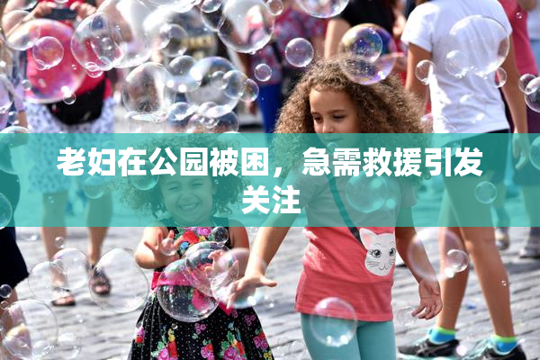 老妇在公园被困，急需救援引发关注
