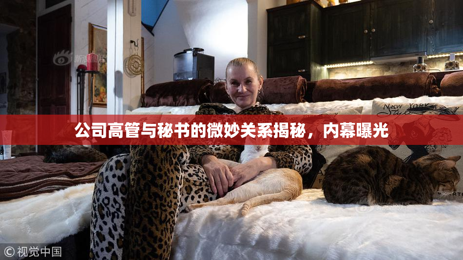 公司高管与秘书的微妙关系揭秘，内幕曝光