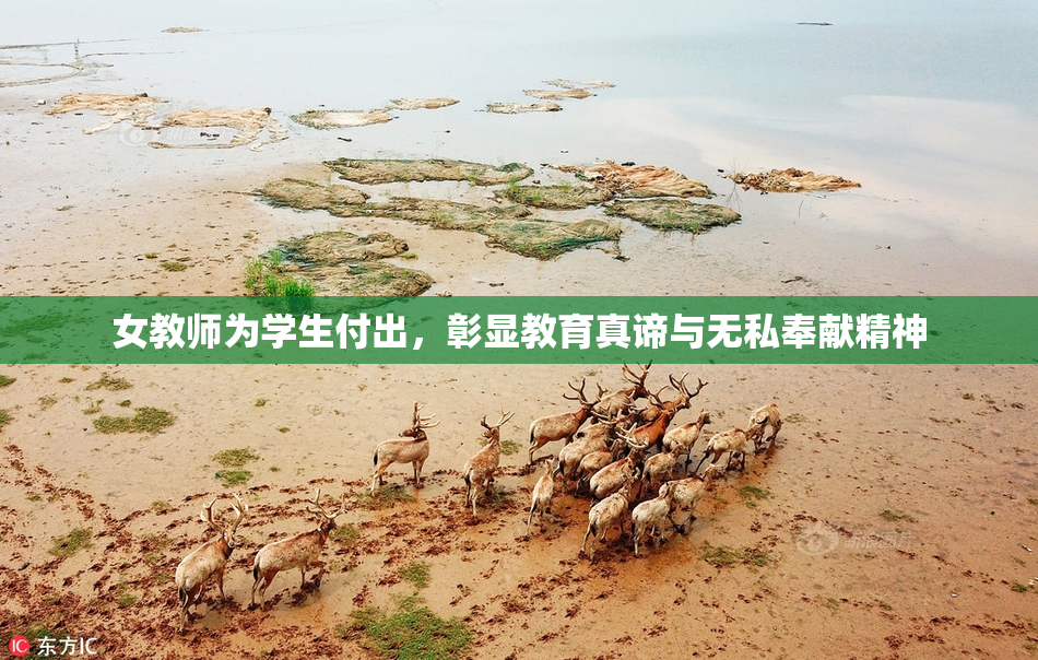 女教师为学生付出，彰显教育真谛与无私奉献精神