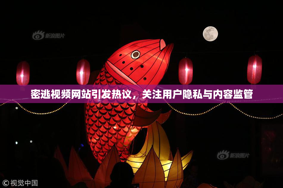 密逃视频网站引发热议，关注用户隐私与内容监管