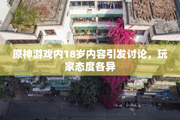 原神游戏内18岁内容引发讨论，玩家态度各异