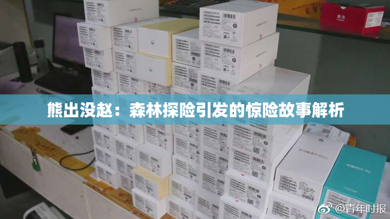 熊出没赵：森林探险引发的惊险故事解析