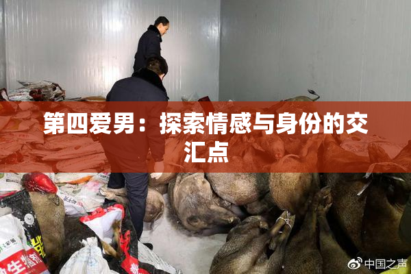 第四爱男：探索情感与身份的交汇点