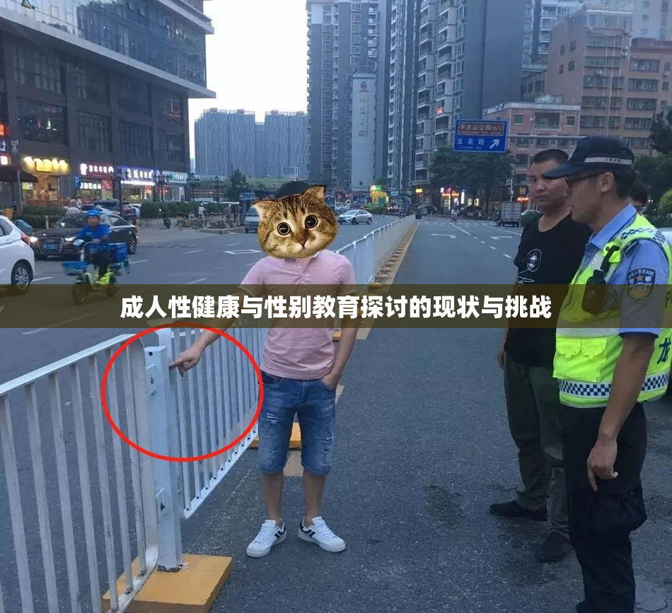 成人性健康与性别教育探讨的现状与挑战