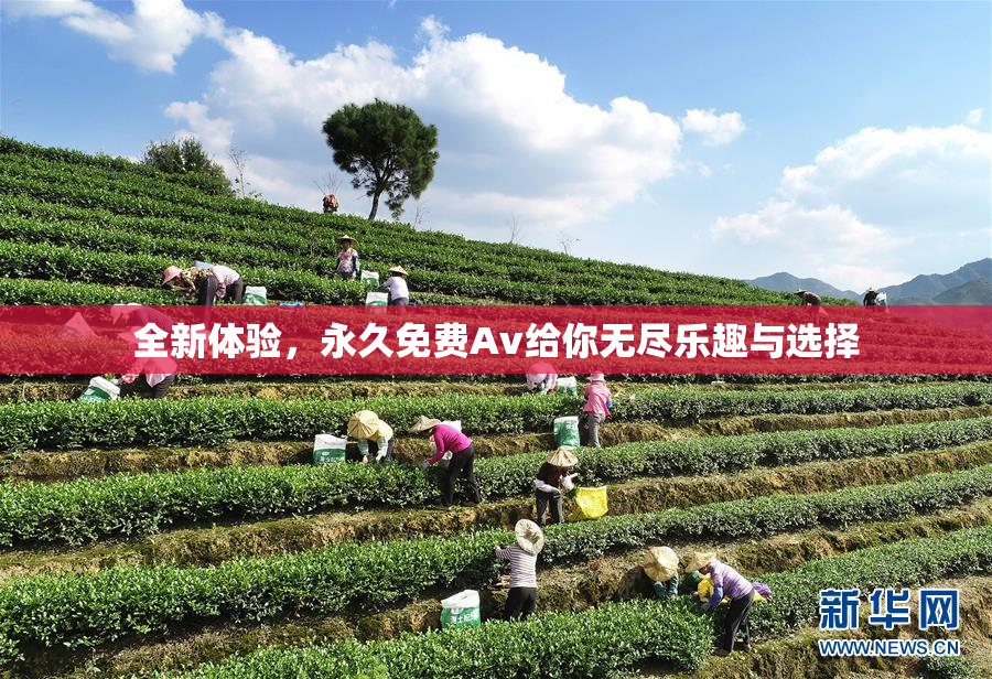全新体验，永久免费Av给你无尽乐趣与选择