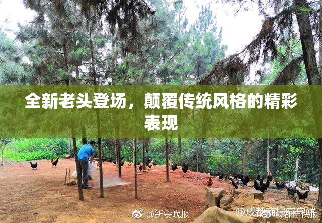 全新老头登场，颠覆传统风格的精彩表现