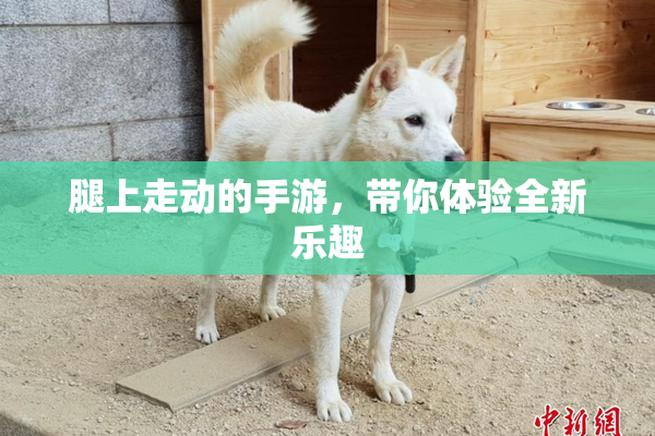 腿上走动的手游，带你体验全新乐趣