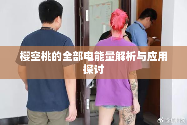 樱空桃的全部电能量解析与应用探讨