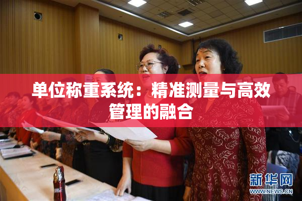 单位称重系统：精准测量与高效管理的融合