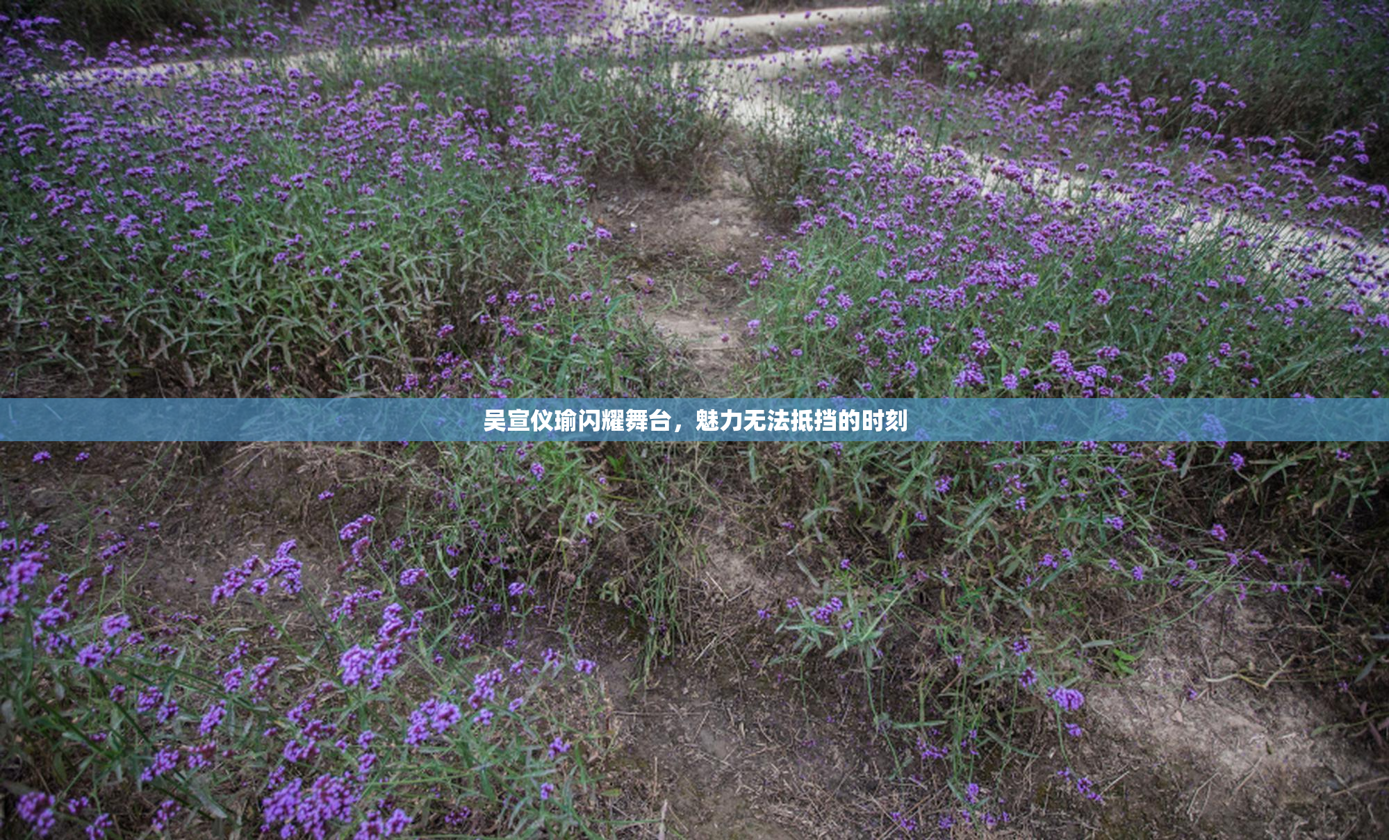 吴宣仪瑜闪耀舞台，魅力无法抵挡的时刻
