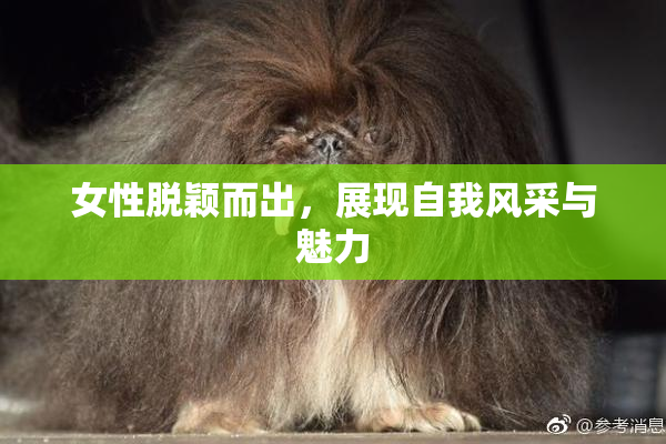 女性脱颖而出，展现自我风采与魅力