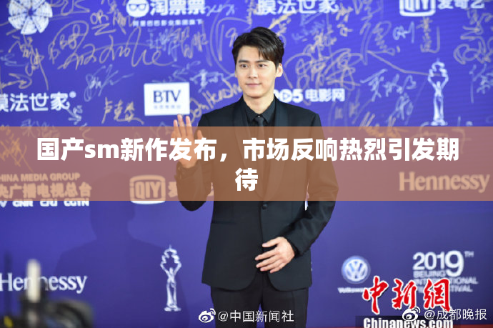 国产sm新作发布，市场反响热烈引发期待