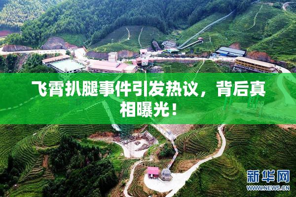 飞霄扒腿事件引发热议，背后真相曝光！