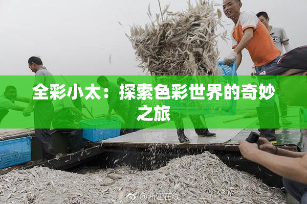 全彩小太：探索色彩世界的奇妙之旅