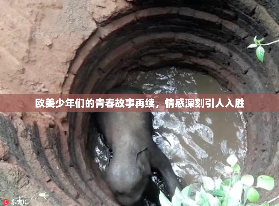 欧美少年们的青春故事再续，情感深刻引人入胜