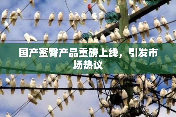 国产蜜臀产品重磅上线，引发市场热议