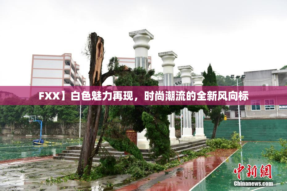 FXX】白色魅力再现，时尚潮流的全新风向标