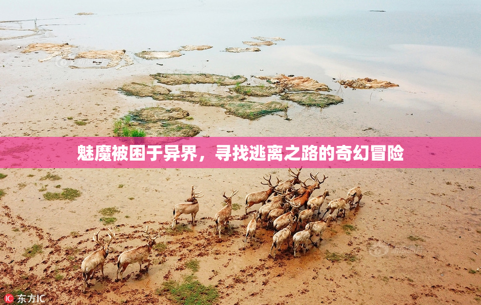 魅魔被困于异界，寻找逃离之路的奇幻冒险