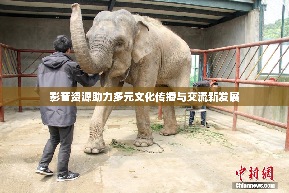 影音资源助力多元文化传播与交流新发展