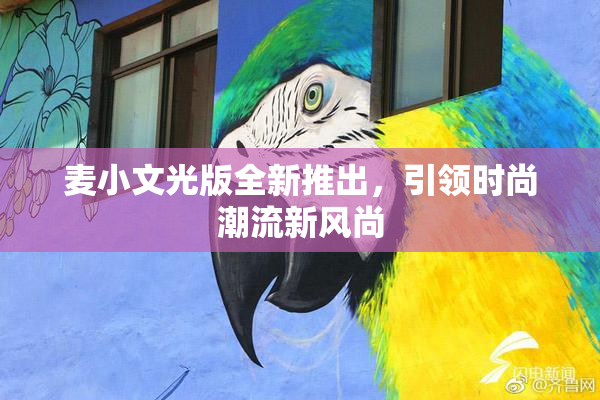 麦小文光版全新推出，引领时尚潮流新风尚