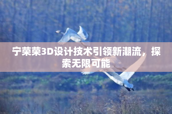 宁荣荣3D设计技术引领新潮流，探索无限可能