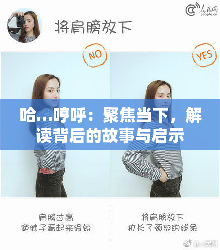 哈…哼呼：聚焦当下，解读背后的故事与启示