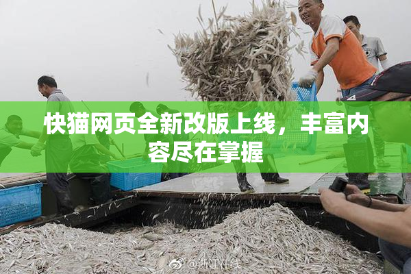 快猫网页全新改版上线，丰富内容尽在掌握