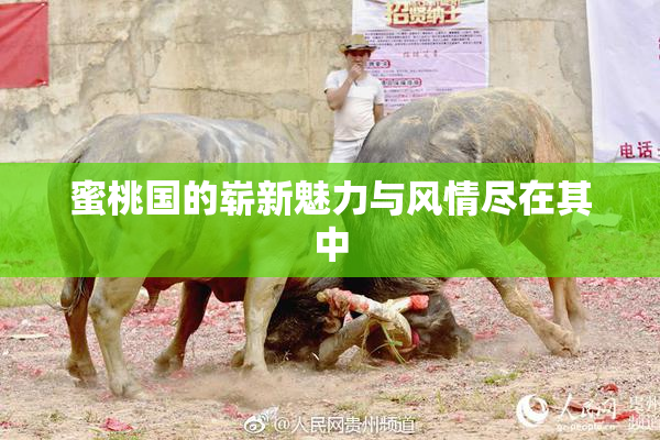 蜜桃国的崭新魅力与风情尽在其中
